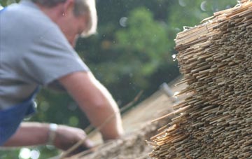 professional Marshfield thatchers